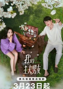 Мой парень-домохозяин